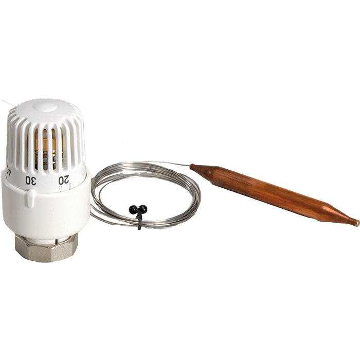 TESTA TERMOSTATICA CON SONDA 20-65°C